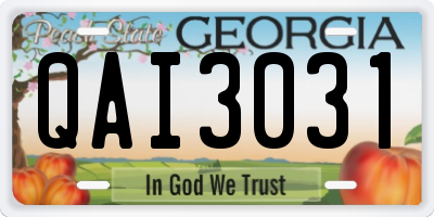 GA license plate QAI3031