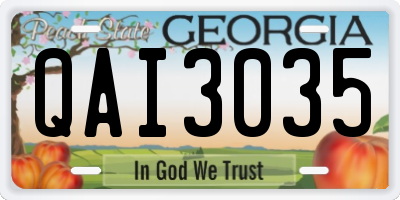 GA license plate QAI3035
