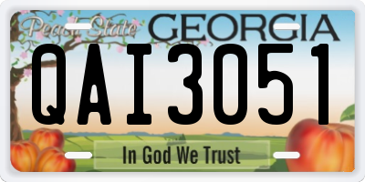 GA license plate QAI3051