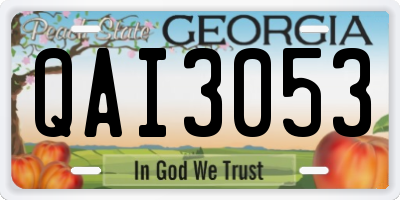 GA license plate QAI3053