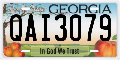 GA license plate QAI3079