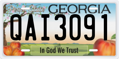 GA license plate QAI3091
