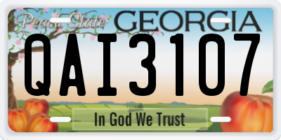GA license plate QAI3107