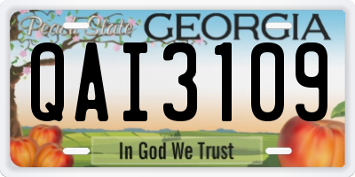 GA license plate QAI3109