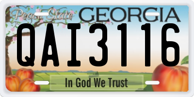 GA license plate QAI3116