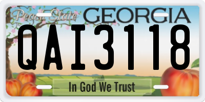 GA license plate QAI3118
