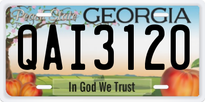 GA license plate QAI3120