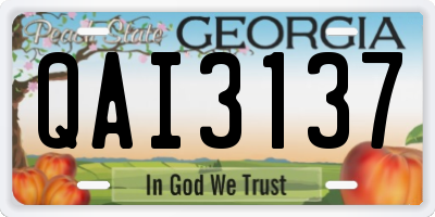 GA license plate QAI3137