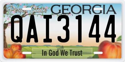 GA license plate QAI3144