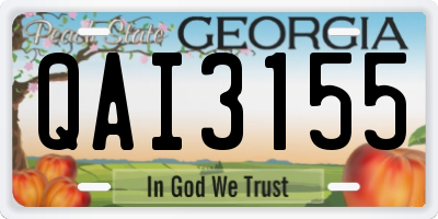 GA license plate QAI3155