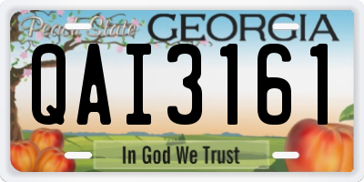 GA license plate QAI3161