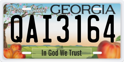 GA license plate QAI3164