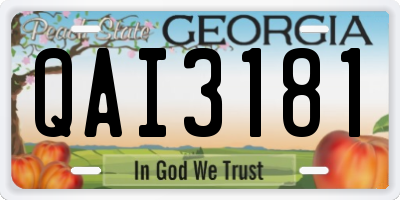 GA license plate QAI3181