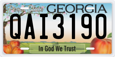 GA license plate QAI3190