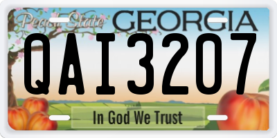 GA license plate QAI3207