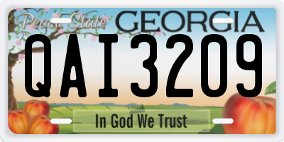 GA license plate QAI3209