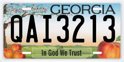 GA license plate QAI3213