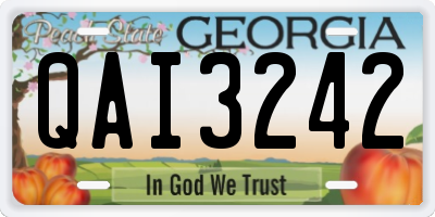 GA license plate QAI3242
