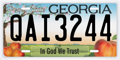 GA license plate QAI3244
