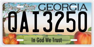 GA license plate QAI3250