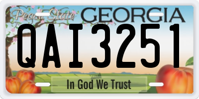 GA license plate QAI3251