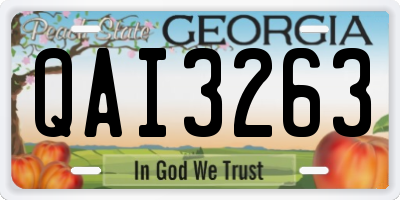 GA license plate QAI3263