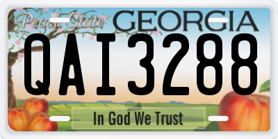 GA license plate QAI3288