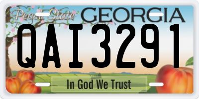 GA license plate QAI3291