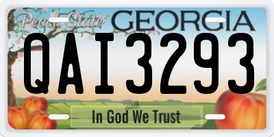 GA license plate QAI3293