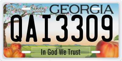 GA license plate QAI3309