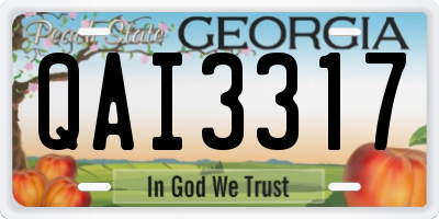 GA license plate QAI3317