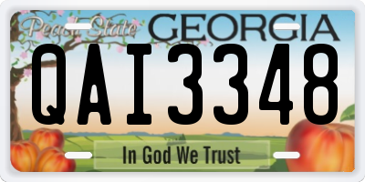 GA license plate QAI3348