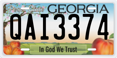 GA license plate QAI3374