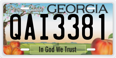 GA license plate QAI3381