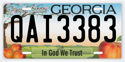 GA license plate QAI3383