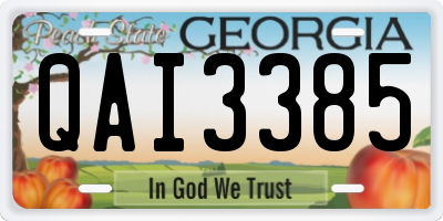 GA license plate QAI3385