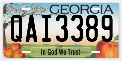GA license plate QAI3389
