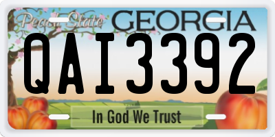 GA license plate QAI3392