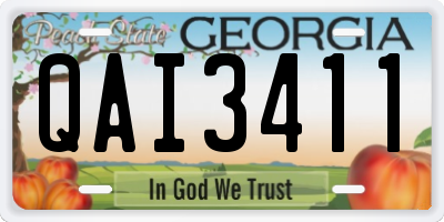GA license plate QAI3411