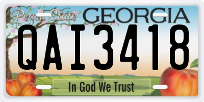 GA license plate QAI3418