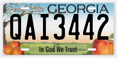 GA license plate QAI3442