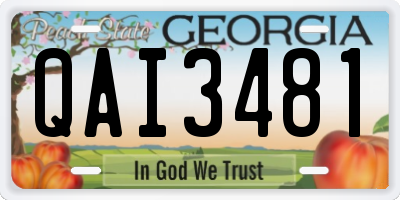 GA license plate QAI3481