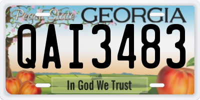 GA license plate QAI3483