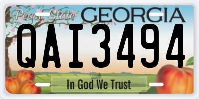 GA license plate QAI3494