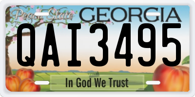 GA license plate QAI3495