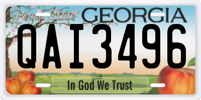 GA license plate QAI3496