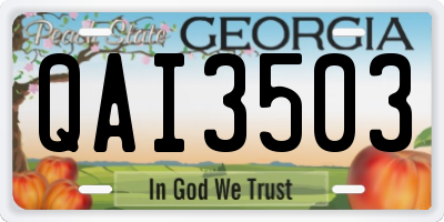 GA license plate QAI3503
