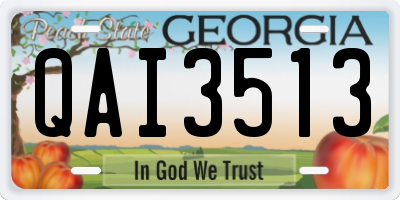 GA license plate QAI3513