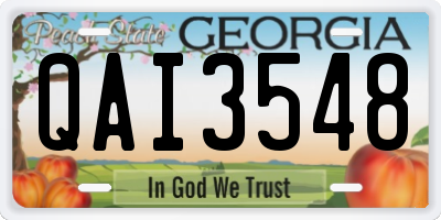 GA license plate QAI3548