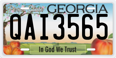 GA license plate QAI3565